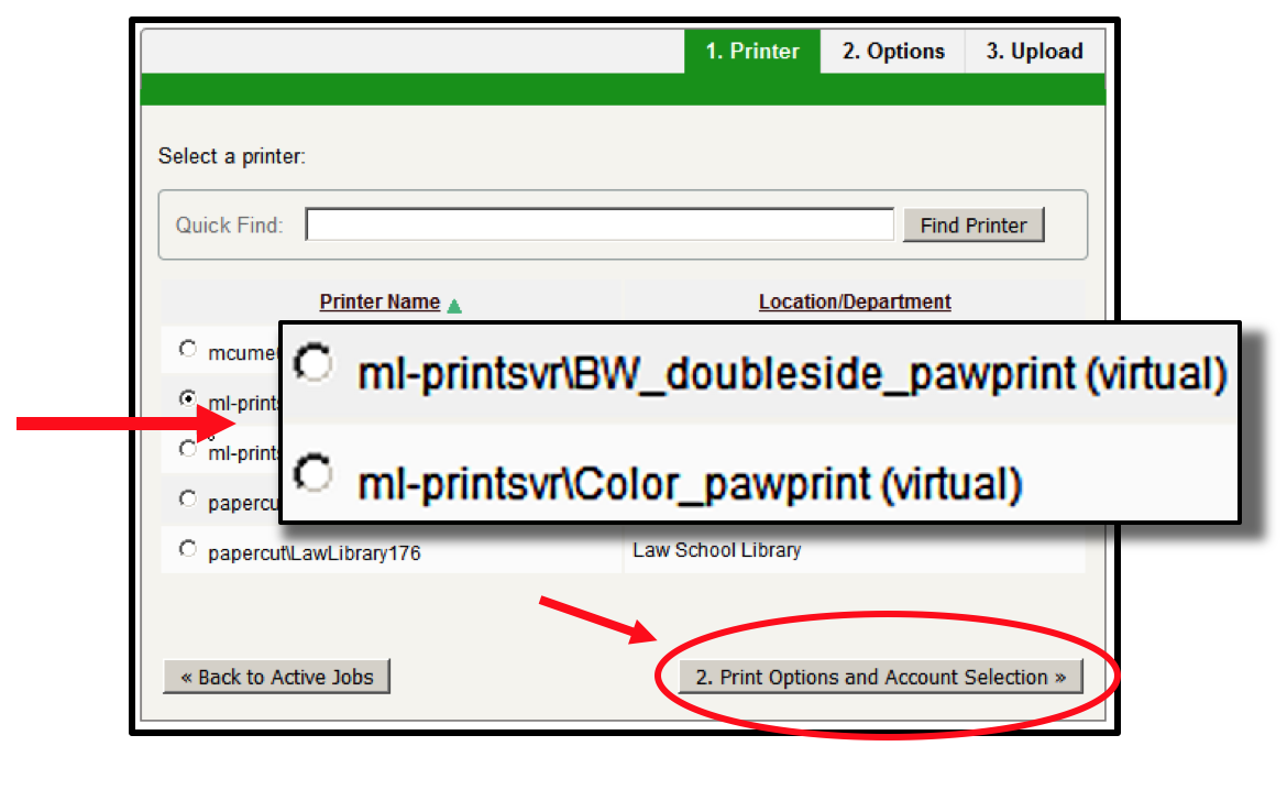 screenshot of printer options